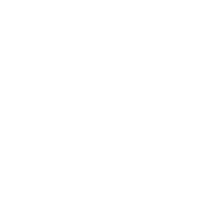 Warm Audio